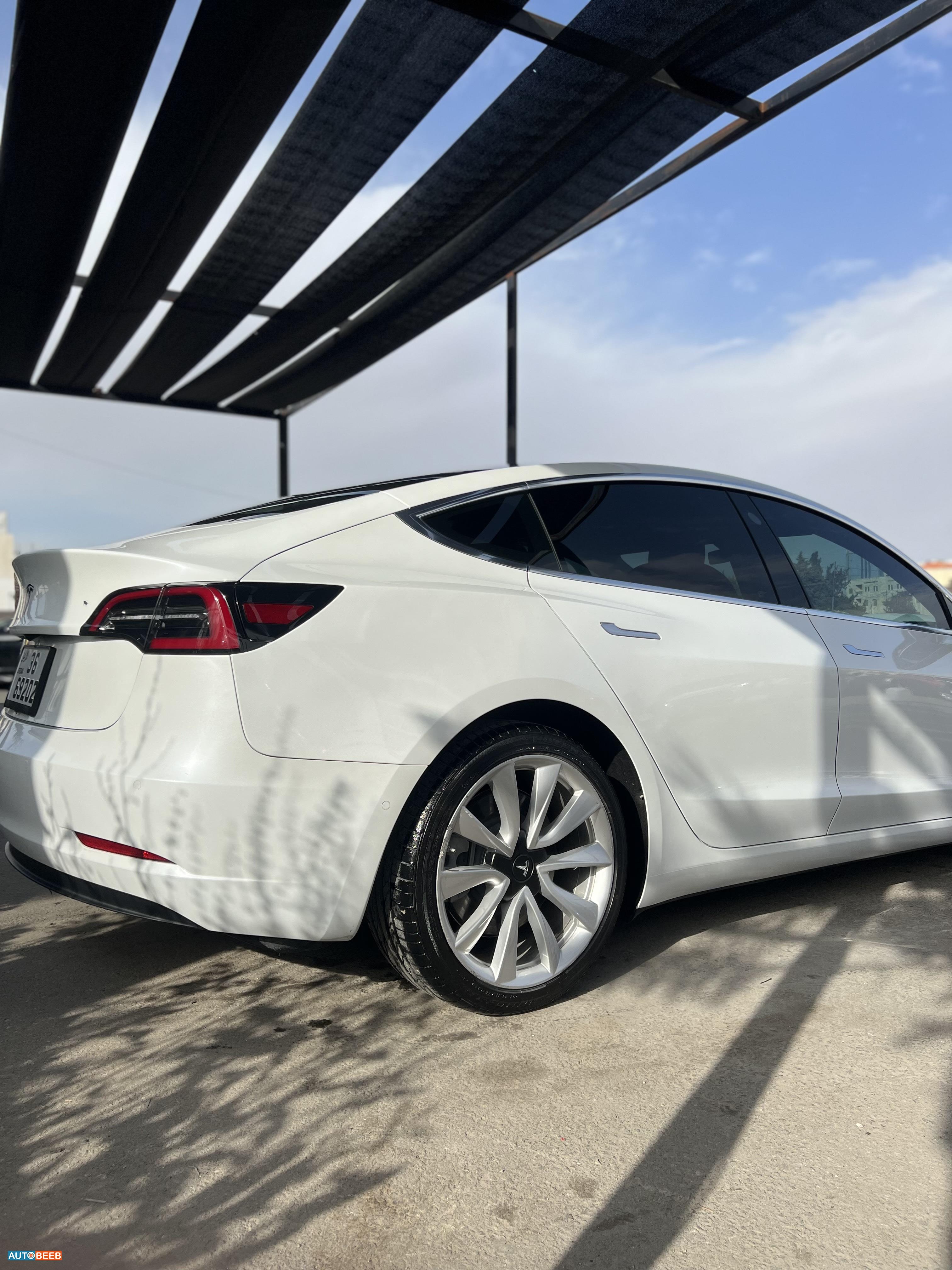 Tesla 3 2019