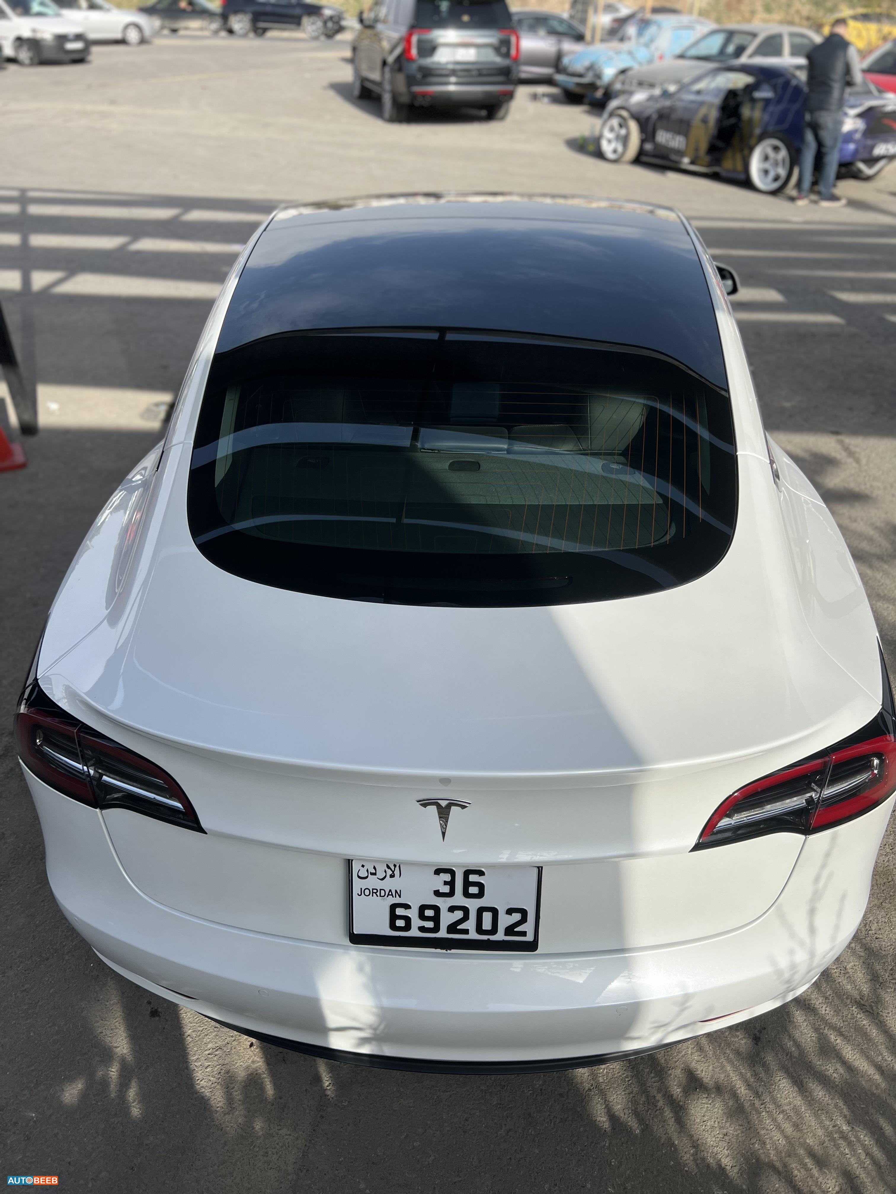 Tesla 3 2019