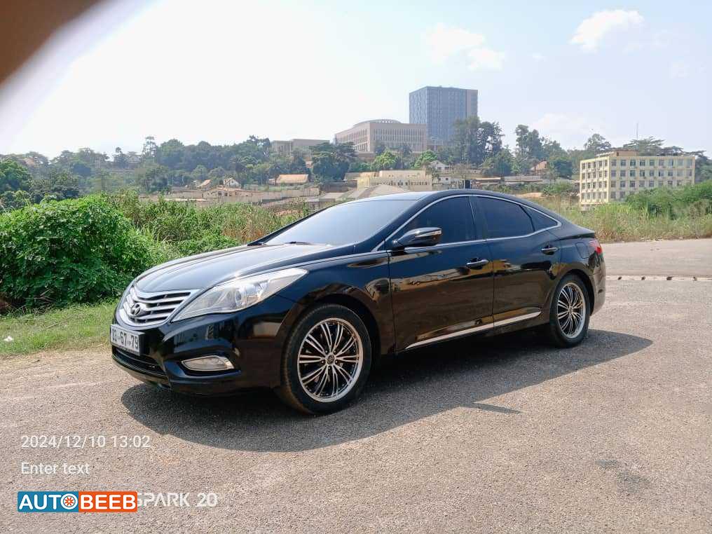 Hyundai Grandeur 2012