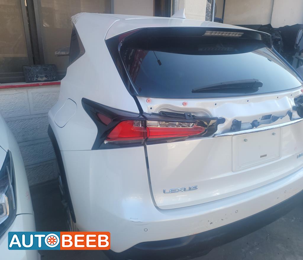 Body  Trunk Lexus NX300