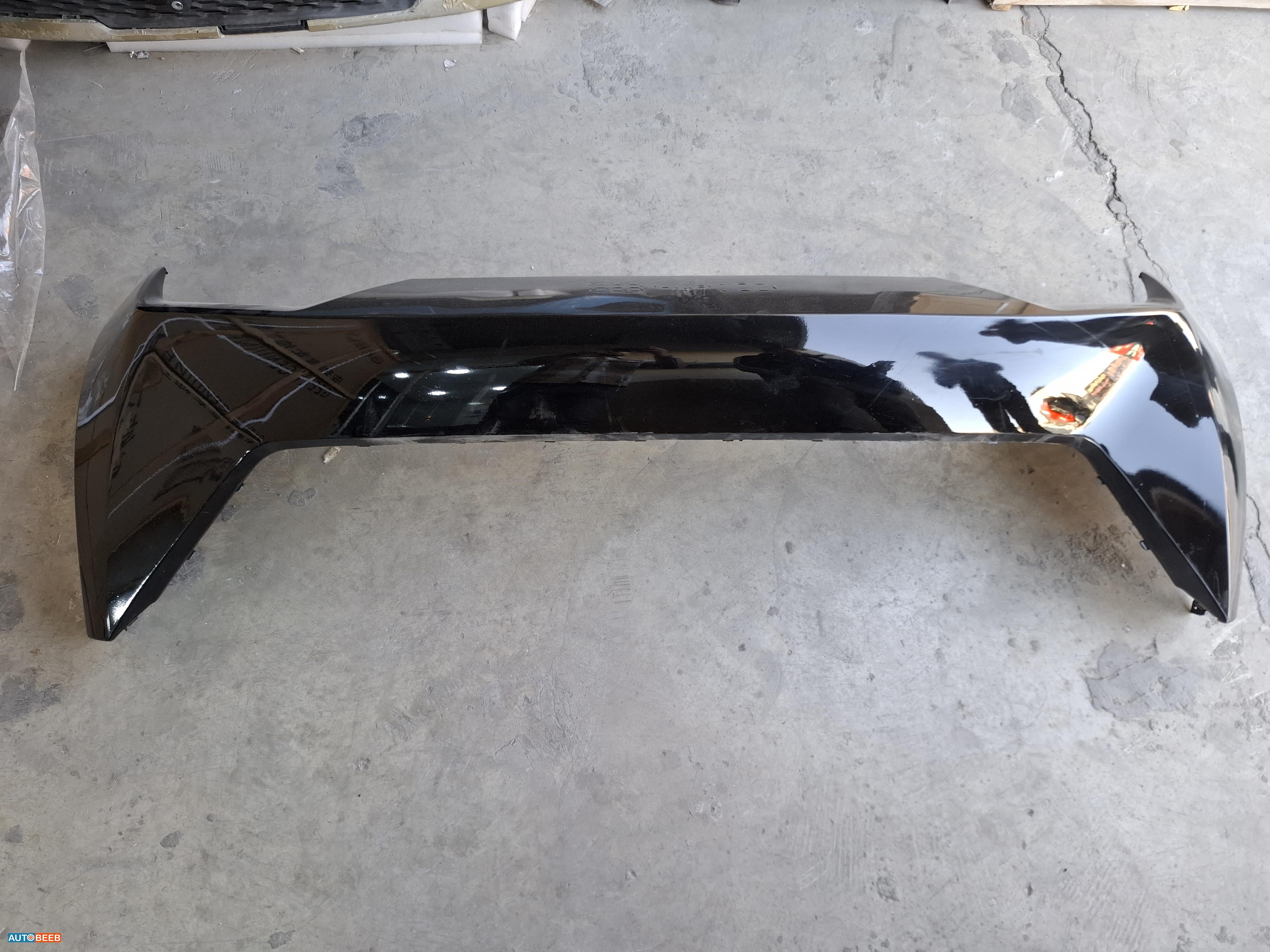 طمبون خلفي بي واي دي سيجال 2024