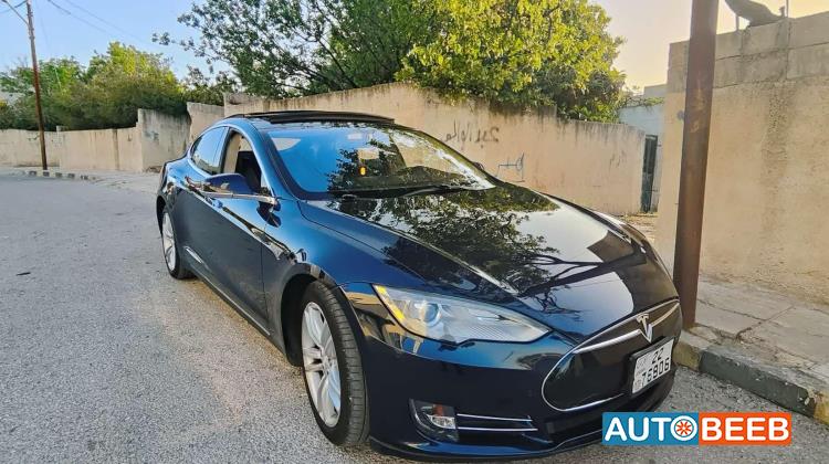 تيسلا S 2013