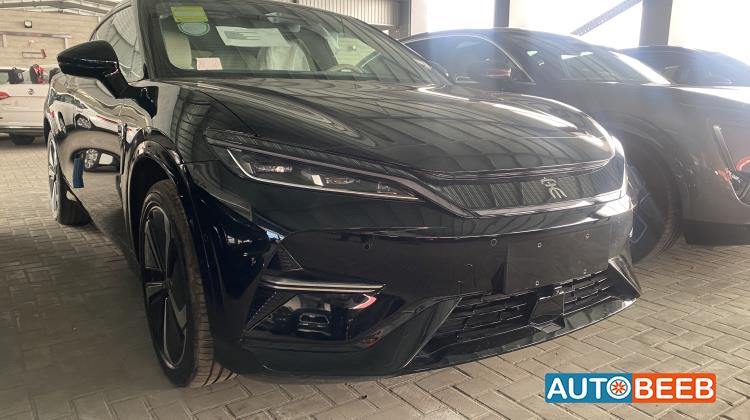 بي واي دي سونج ل 2024