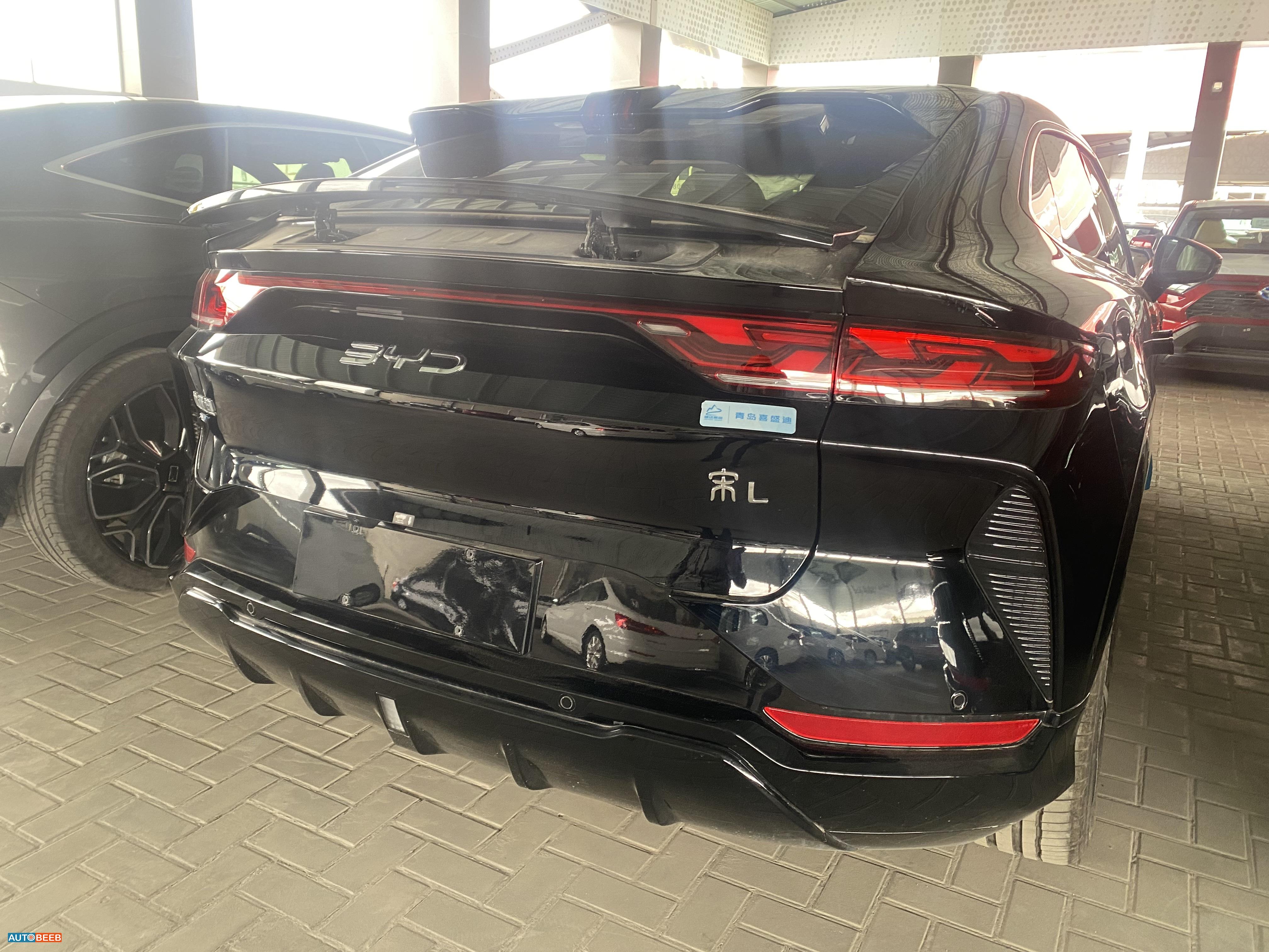 بي واي دي سونج ل 2024