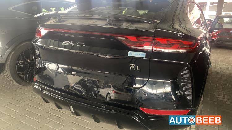 بي واي دي سونج ل 2024