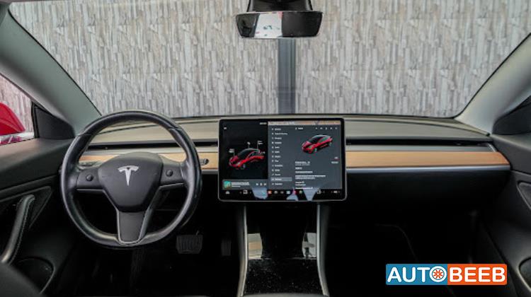 Tesla 3 2019