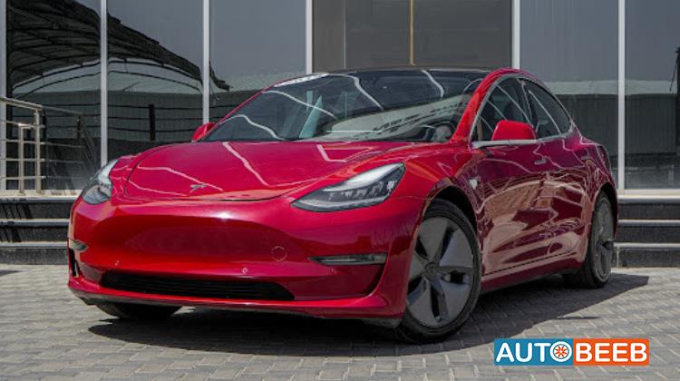 Tesla 3 2019