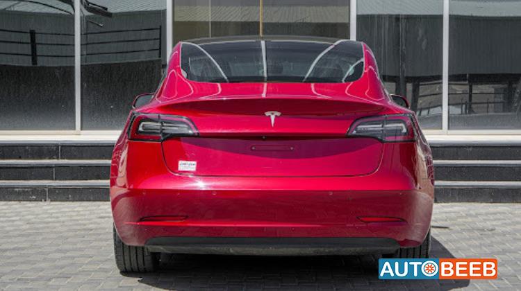 Tesla 3 2019