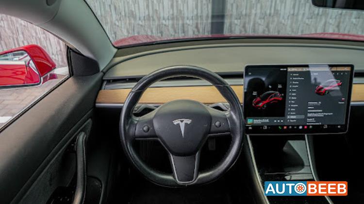 Tesla 3 2019