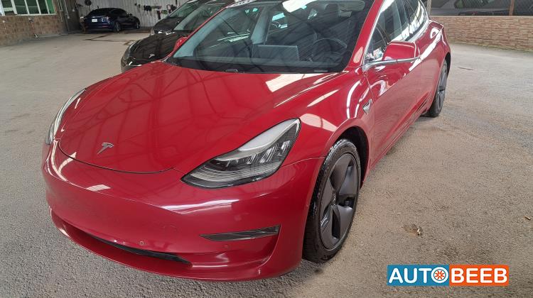 Tesla 3 2019