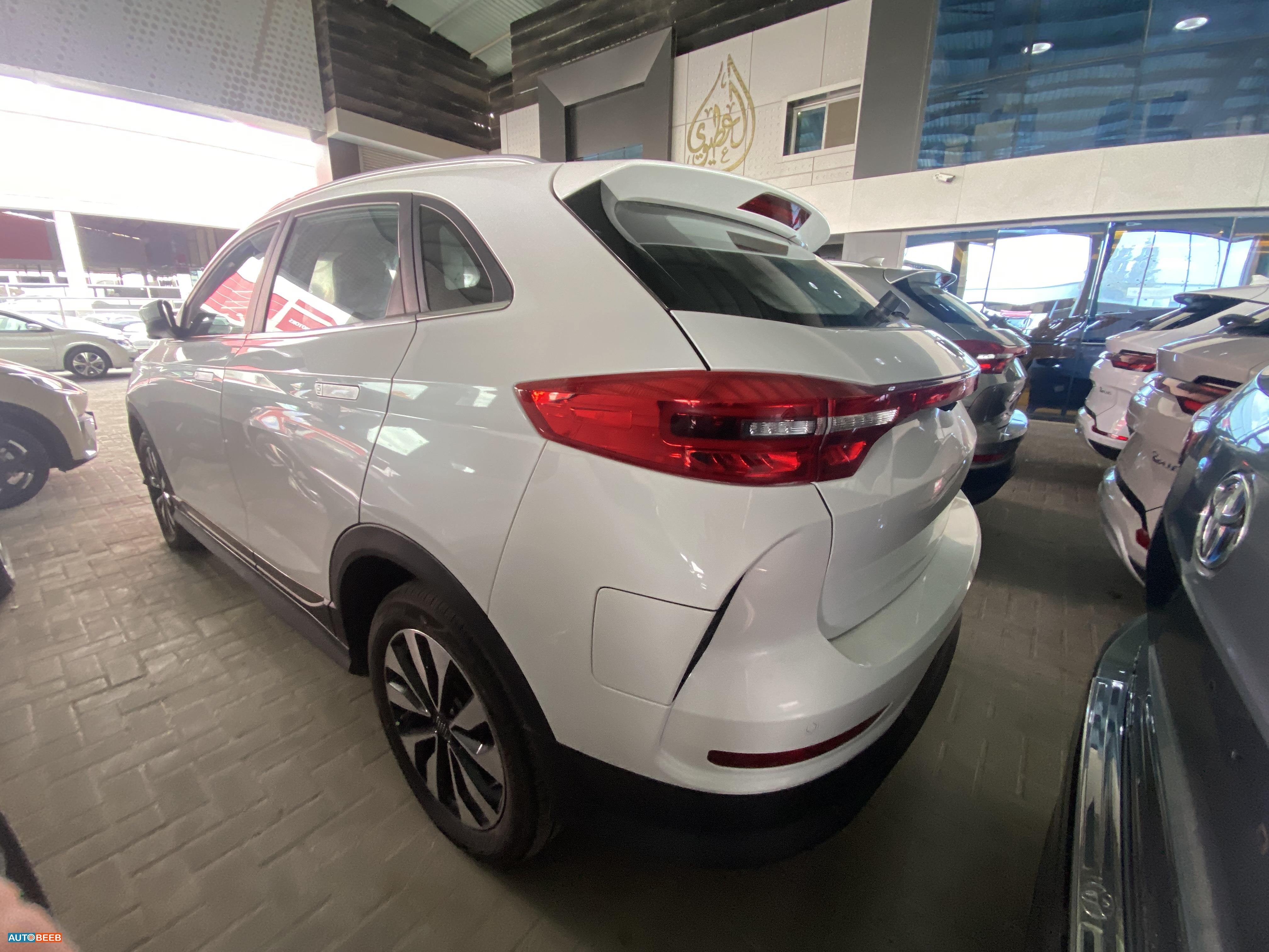 ويلتميستر EX5 2024