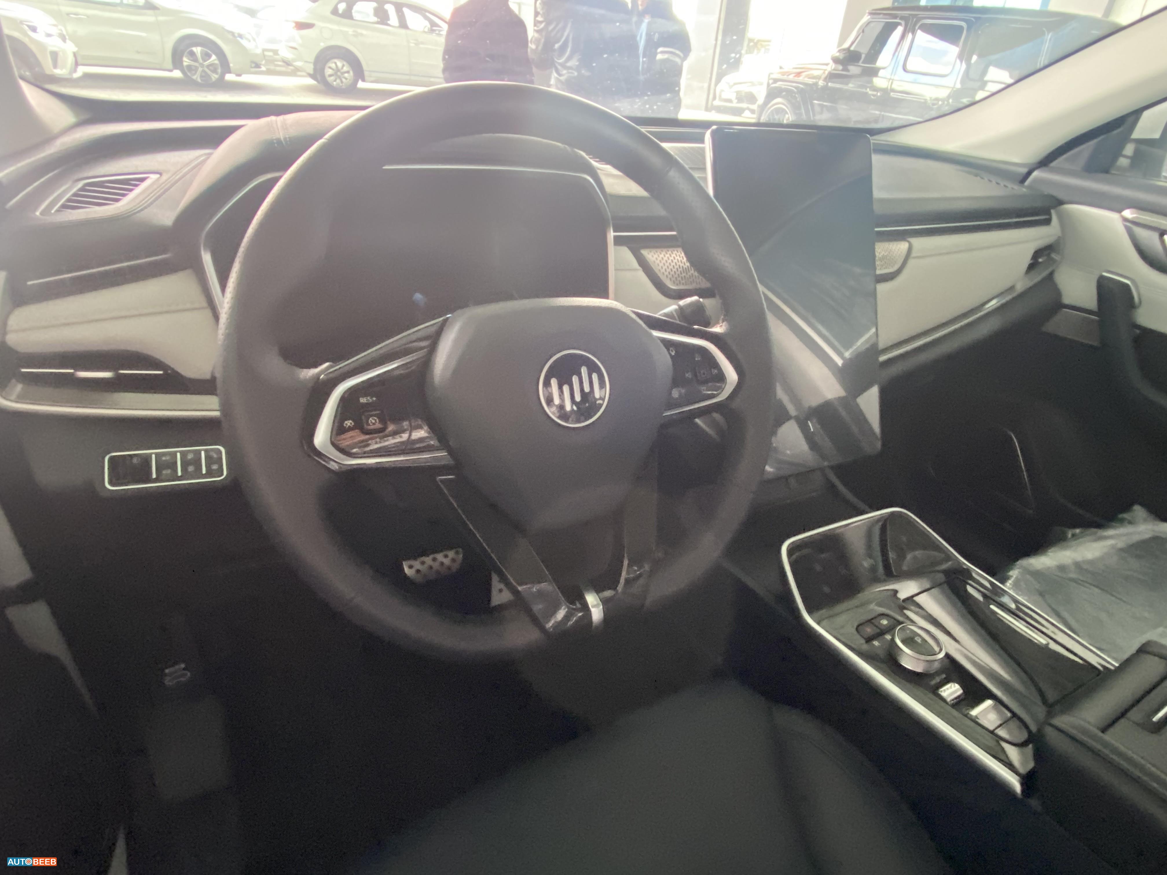 ويلتميستر EX5 2024