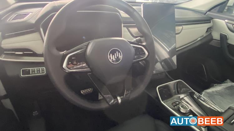 ويلتميستر EX5 2024