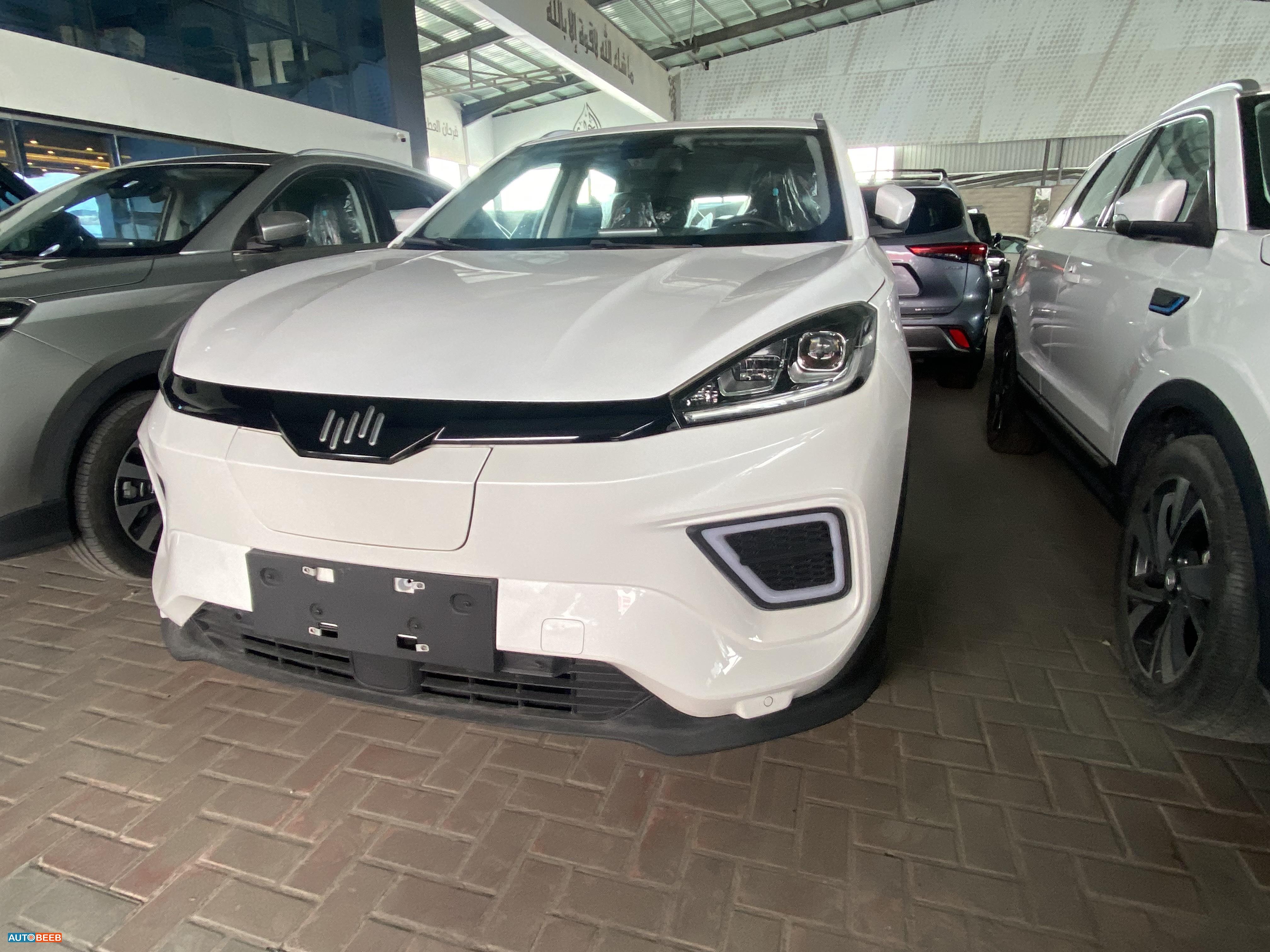 ويلتميستر EX5 2024