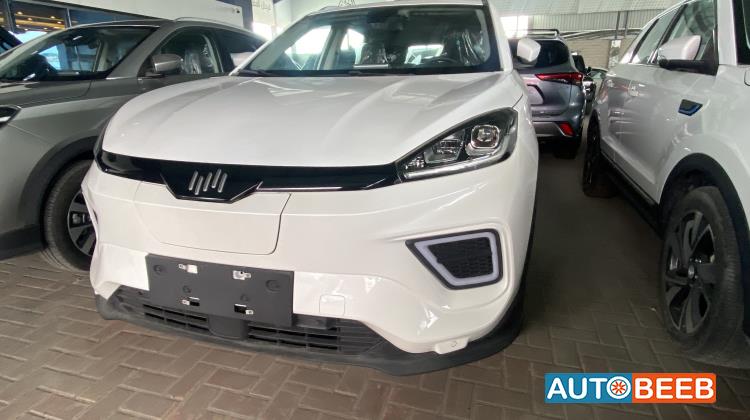 ويلتميستر EX5 2024