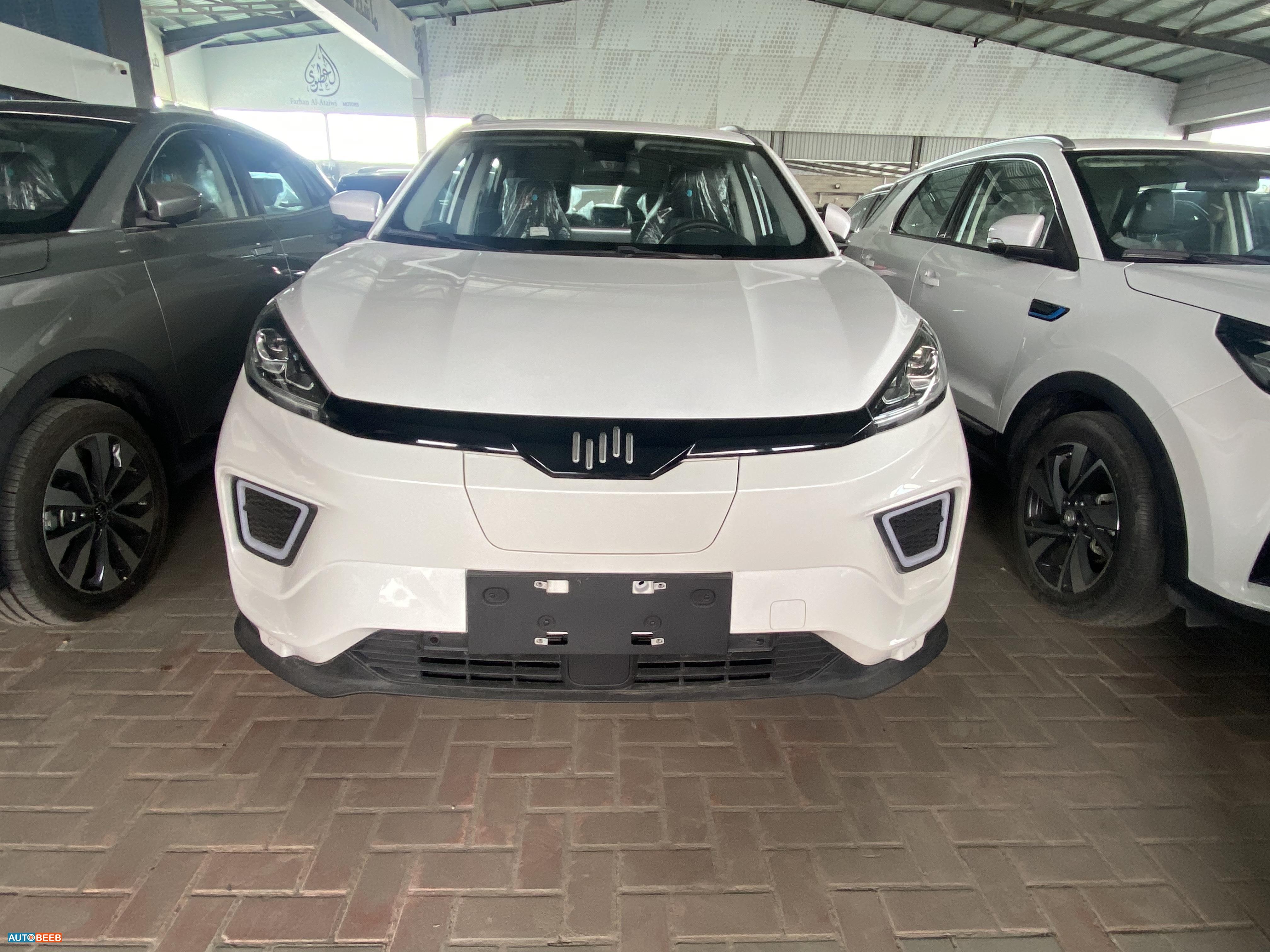 ويلتميستر EX5 2024