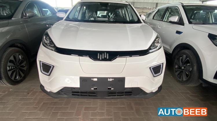 ويلتميستر EX5 2024