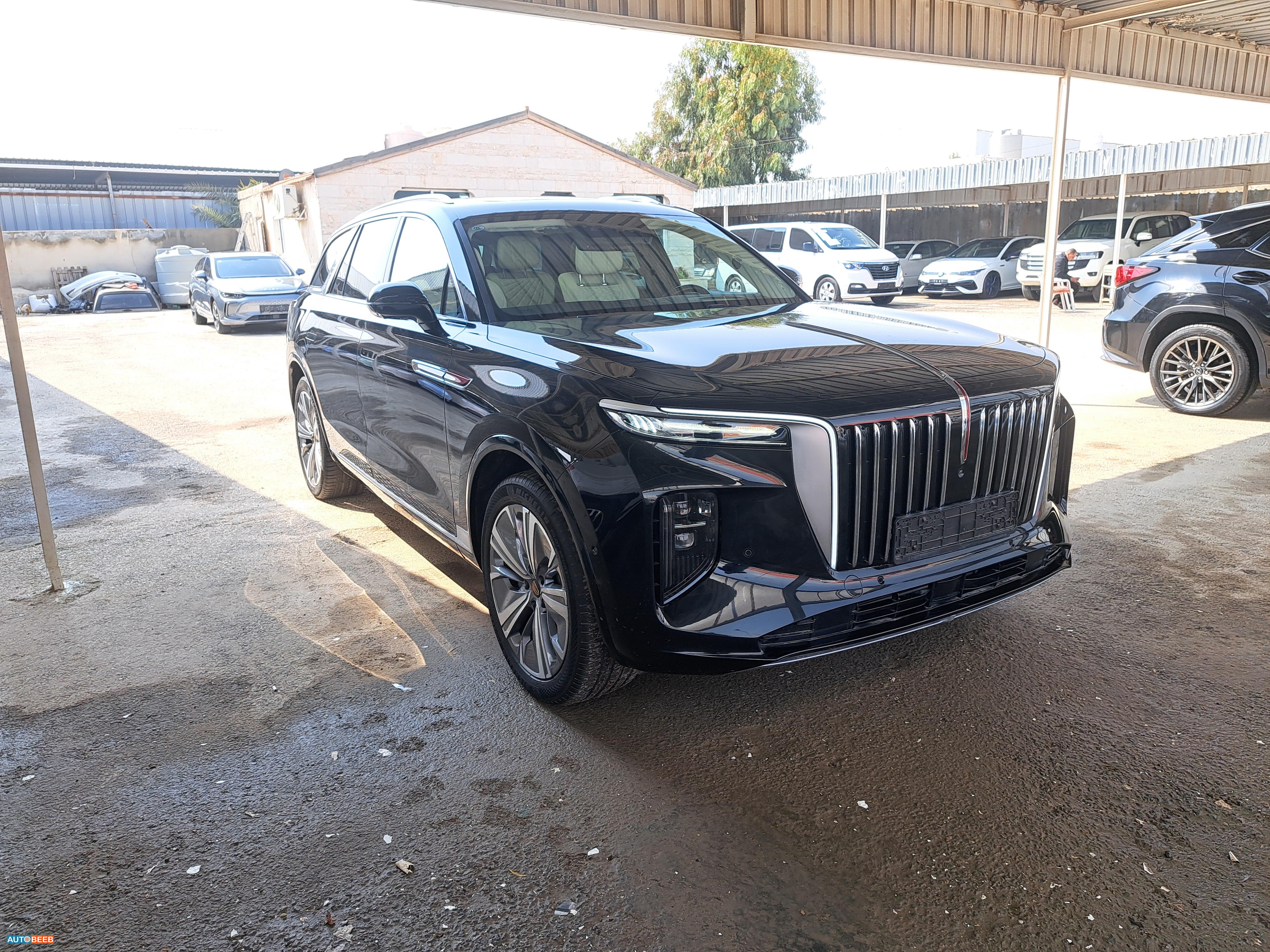 Hongqi E-HS9 2021