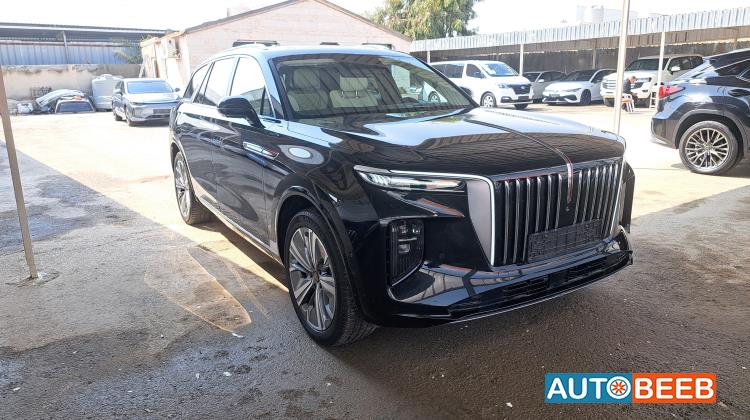 Hongqi E-HS9 2021