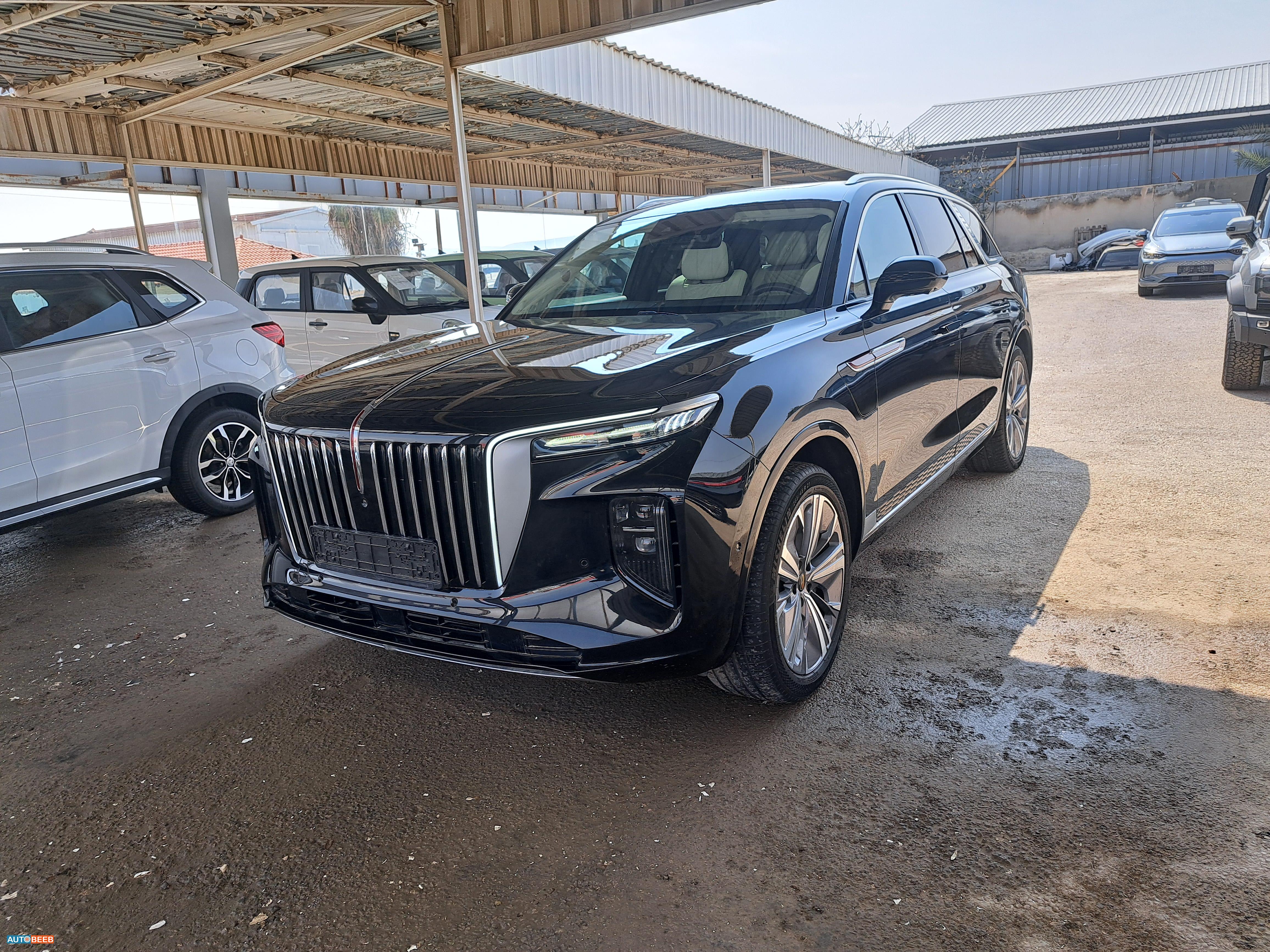 Hongqi E-HS9 2021