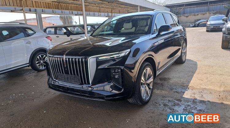 Hongqi E-HS9 2021