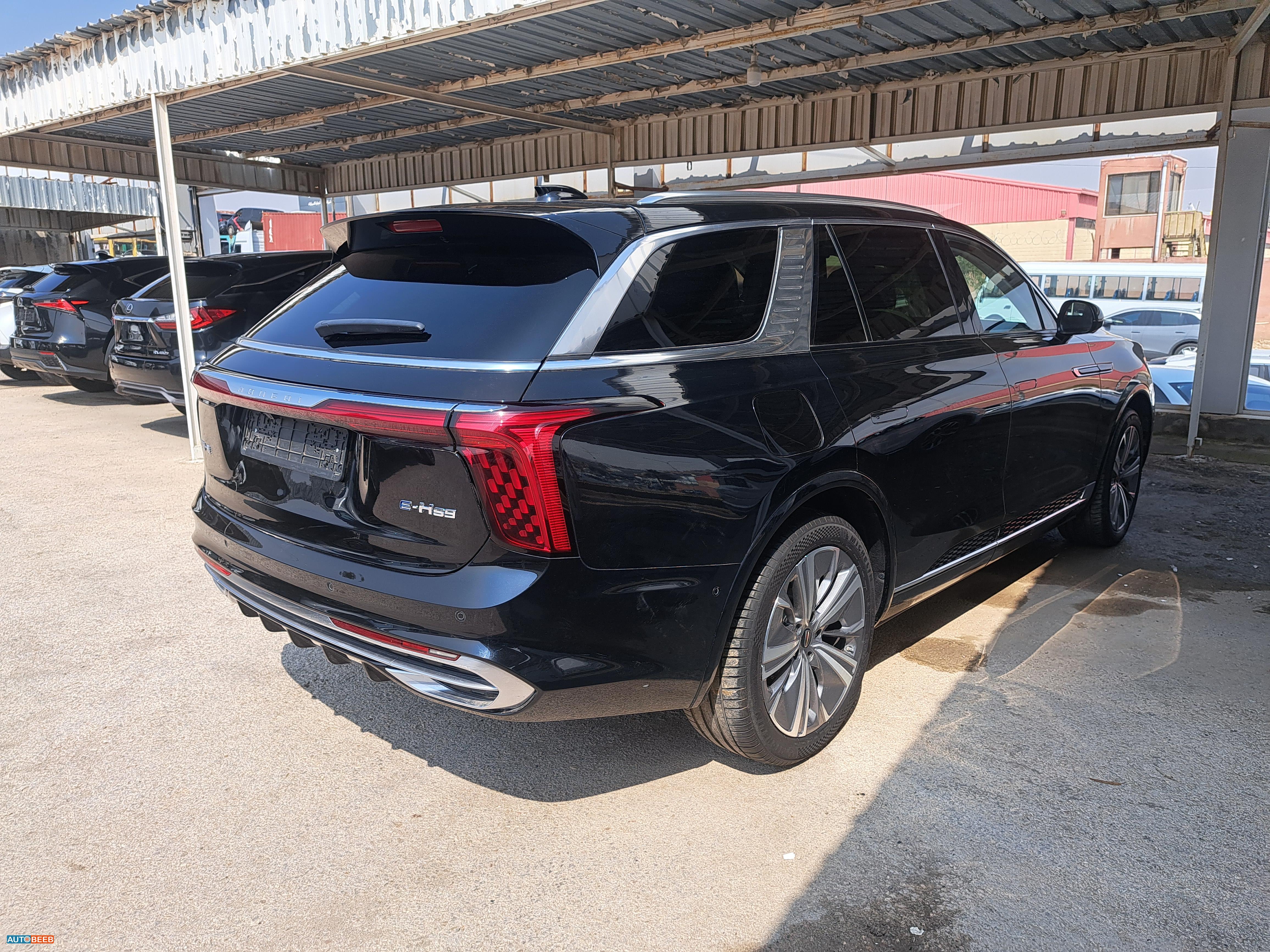 Hongqi E-HS9 2021