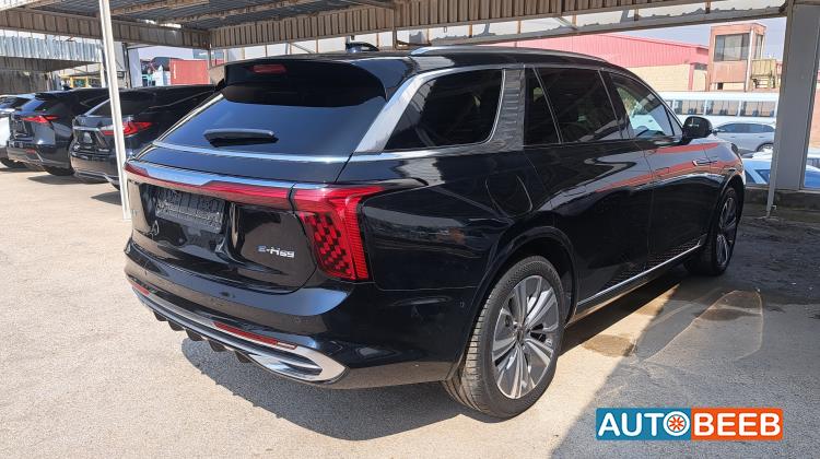 Hongqi E-HS9 2021