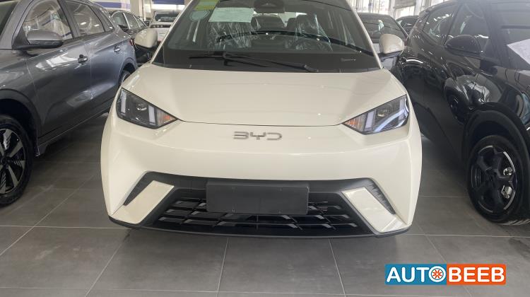 بي واي دي سيجول 2024