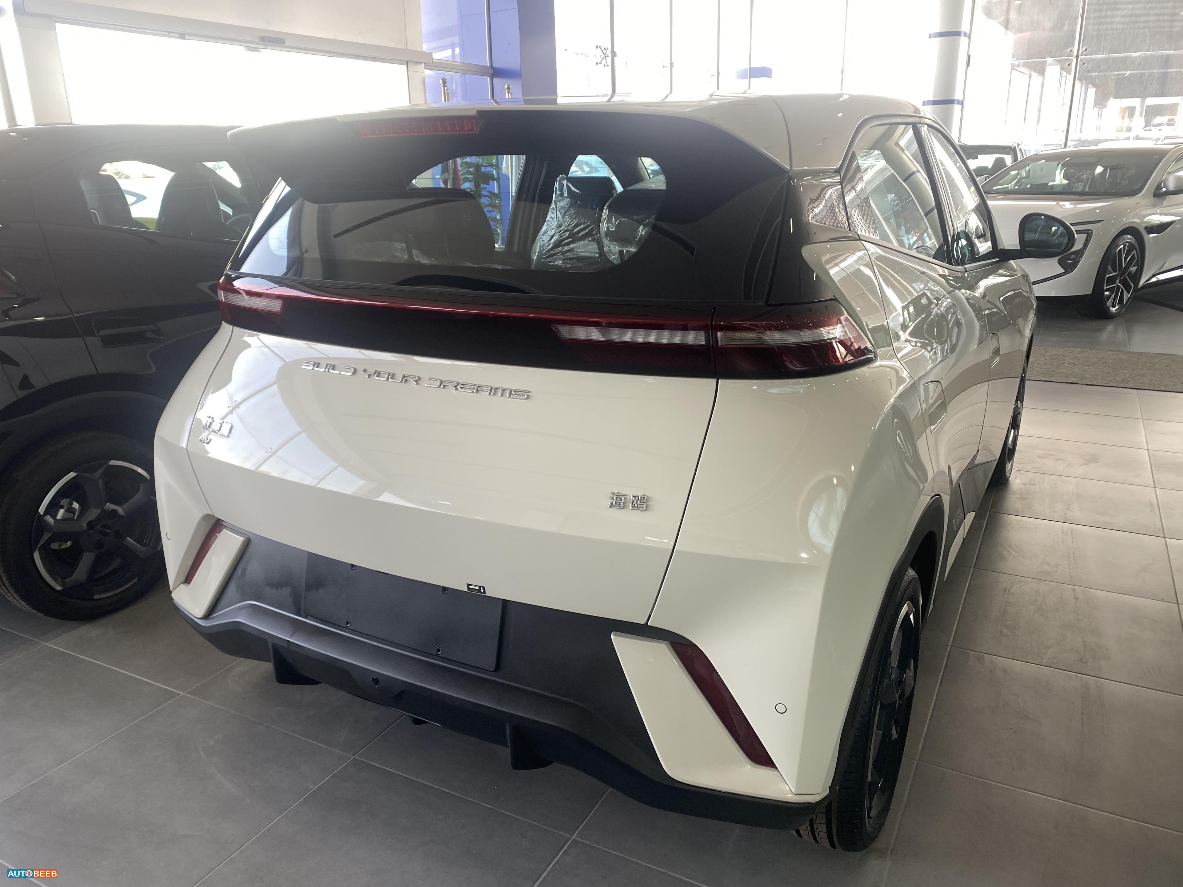 بي واي دي سيجول 2024