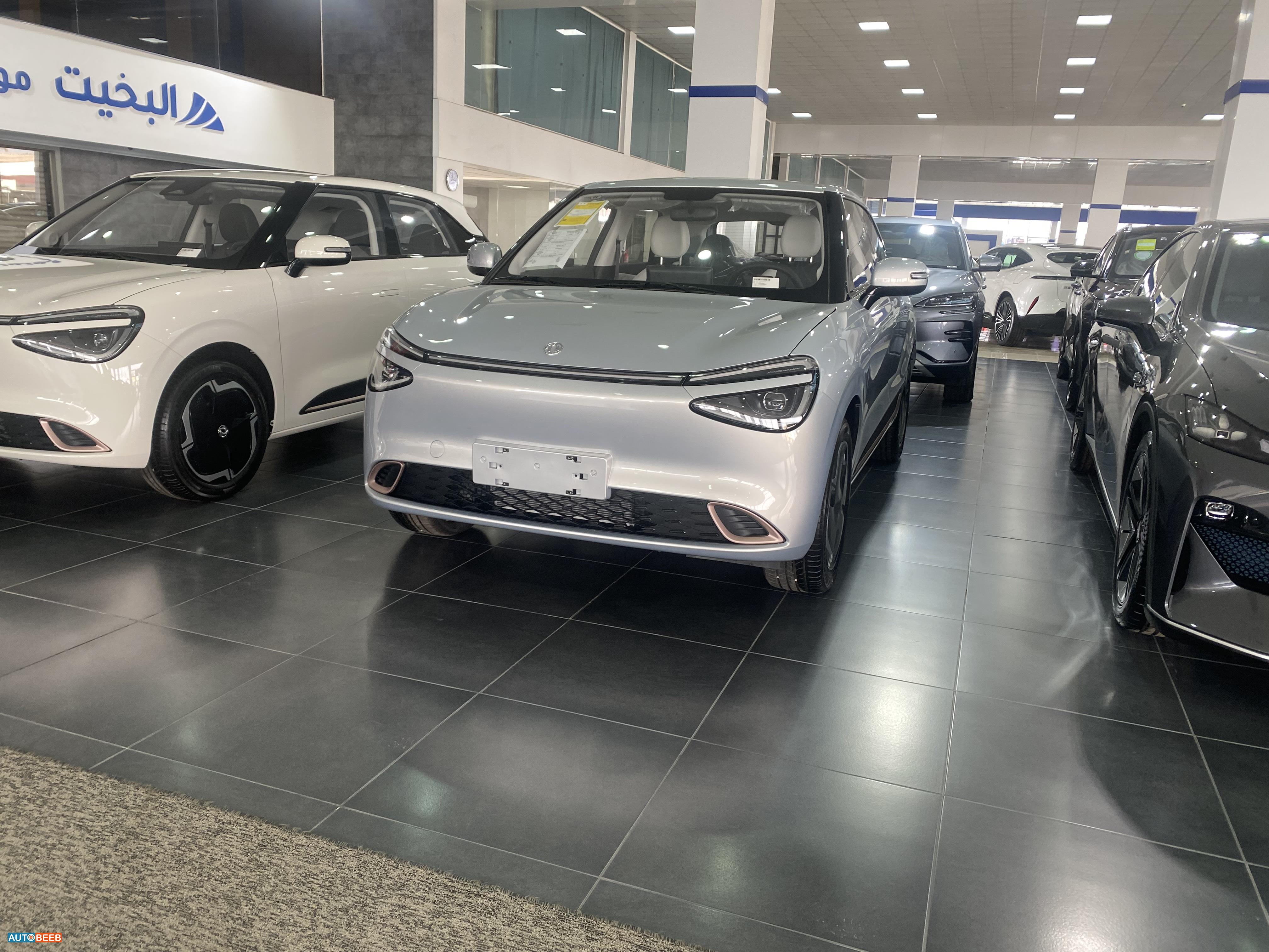 دونج فينج  2025