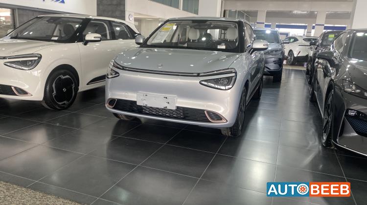 دونج فينج  2025