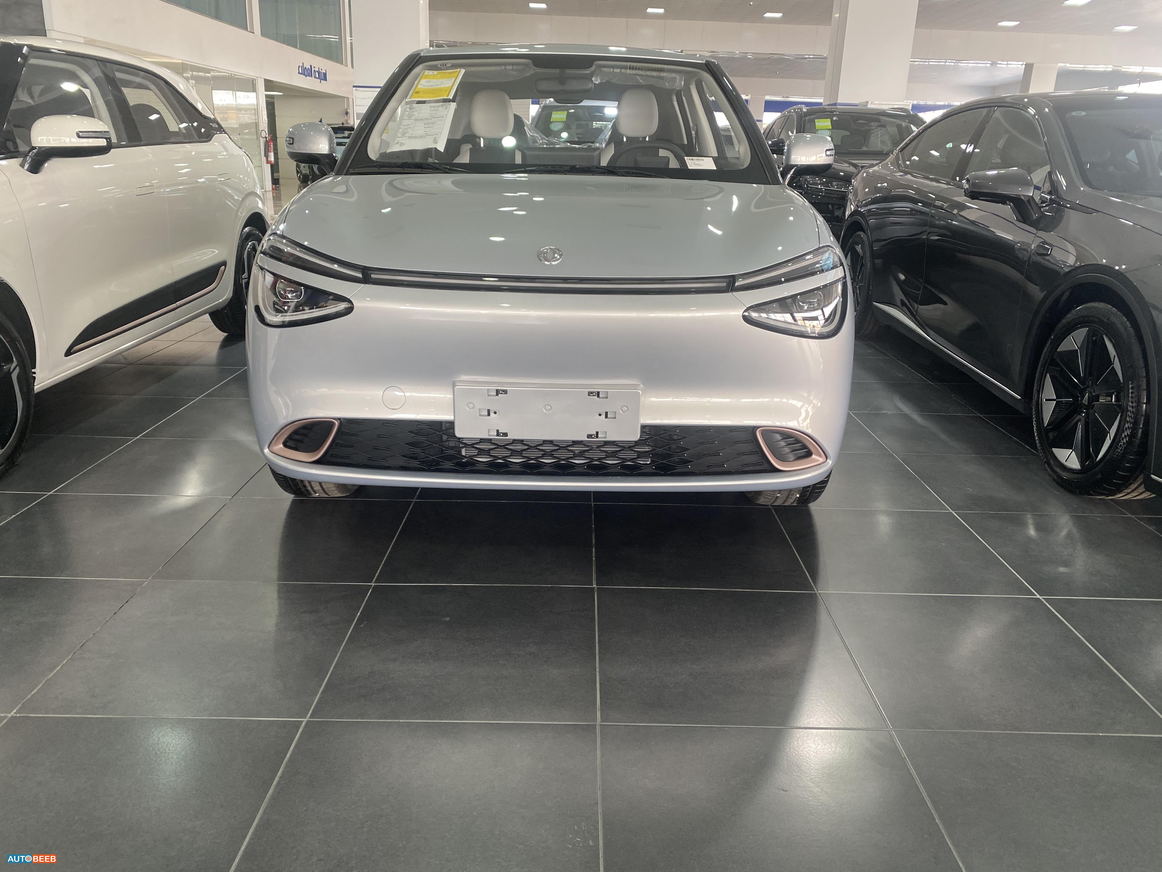 دونج فينج  2025