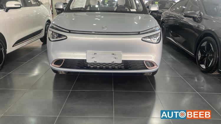 دونج فينج  2025