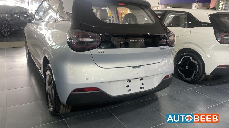 دونج فينج  2025