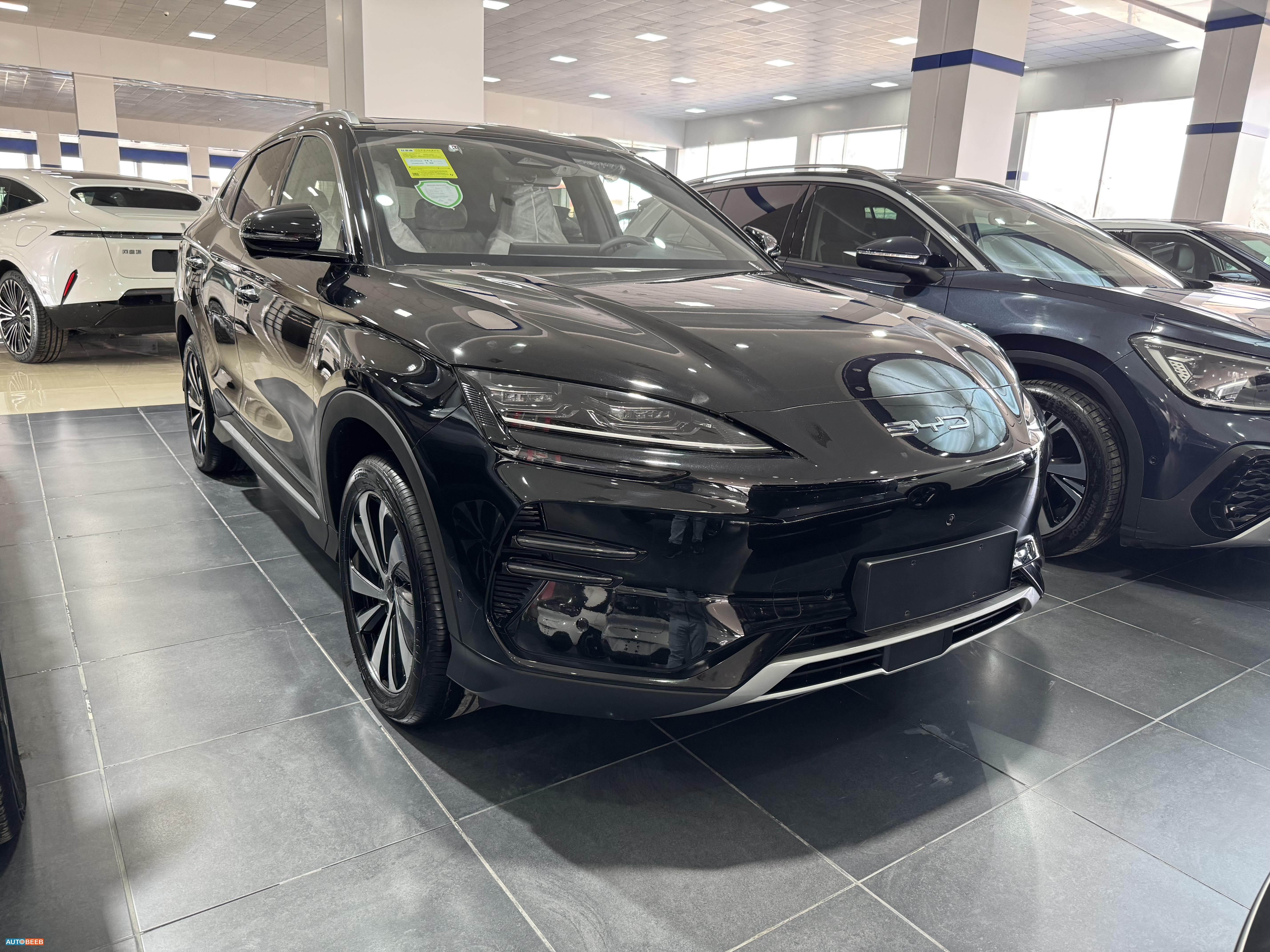 بي واي دي سونج بلس 2024