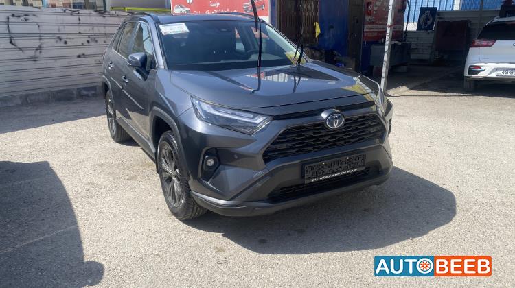 Toyota RAV4 2024