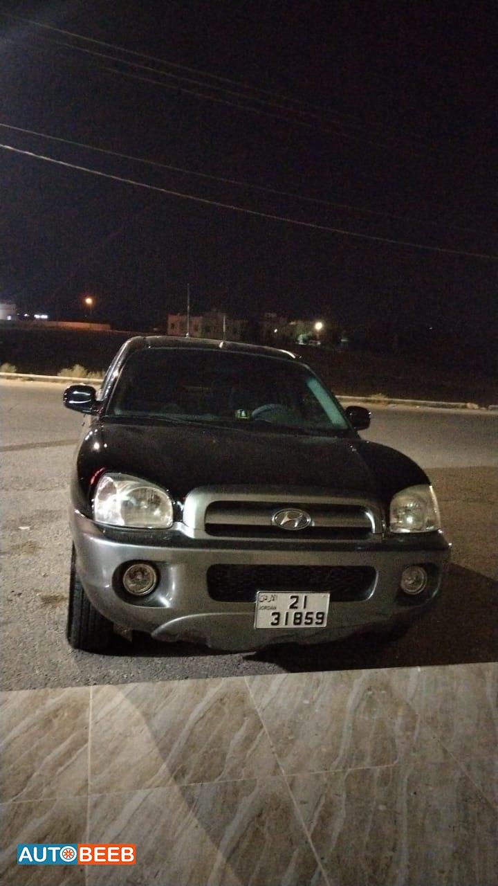 Hyundai Santa Fe 2003