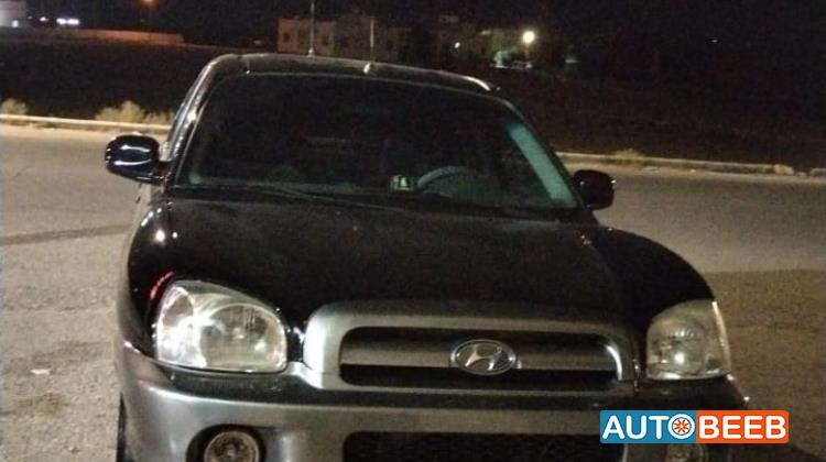 Hyundai Santa Fe 2003