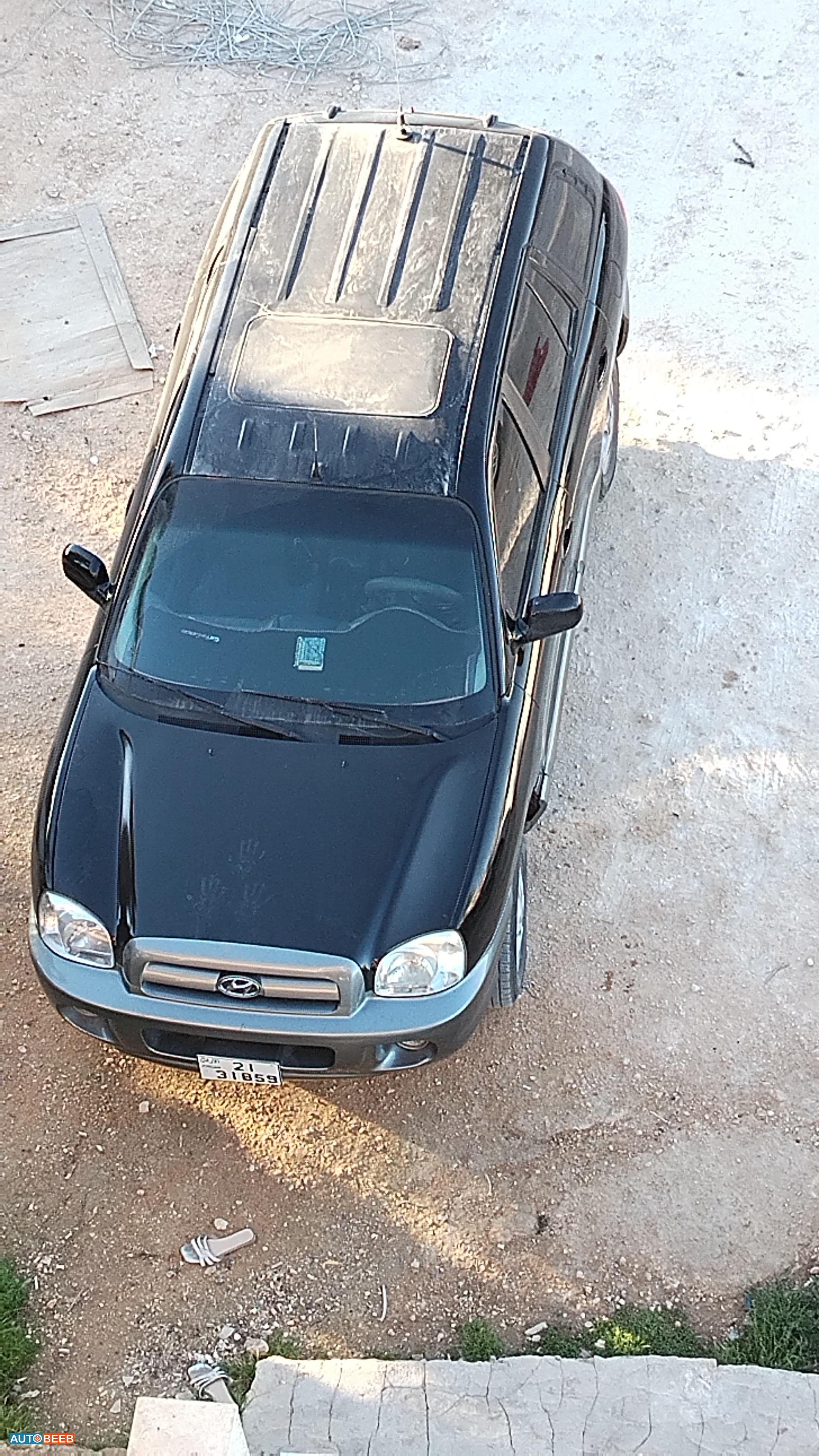 Hyundai Santa Fe 2003