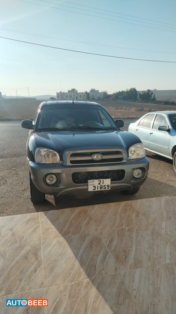 Hyundai Santa Fe 2003
