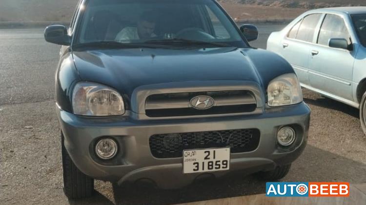 Hyundai Santa Fe 2003