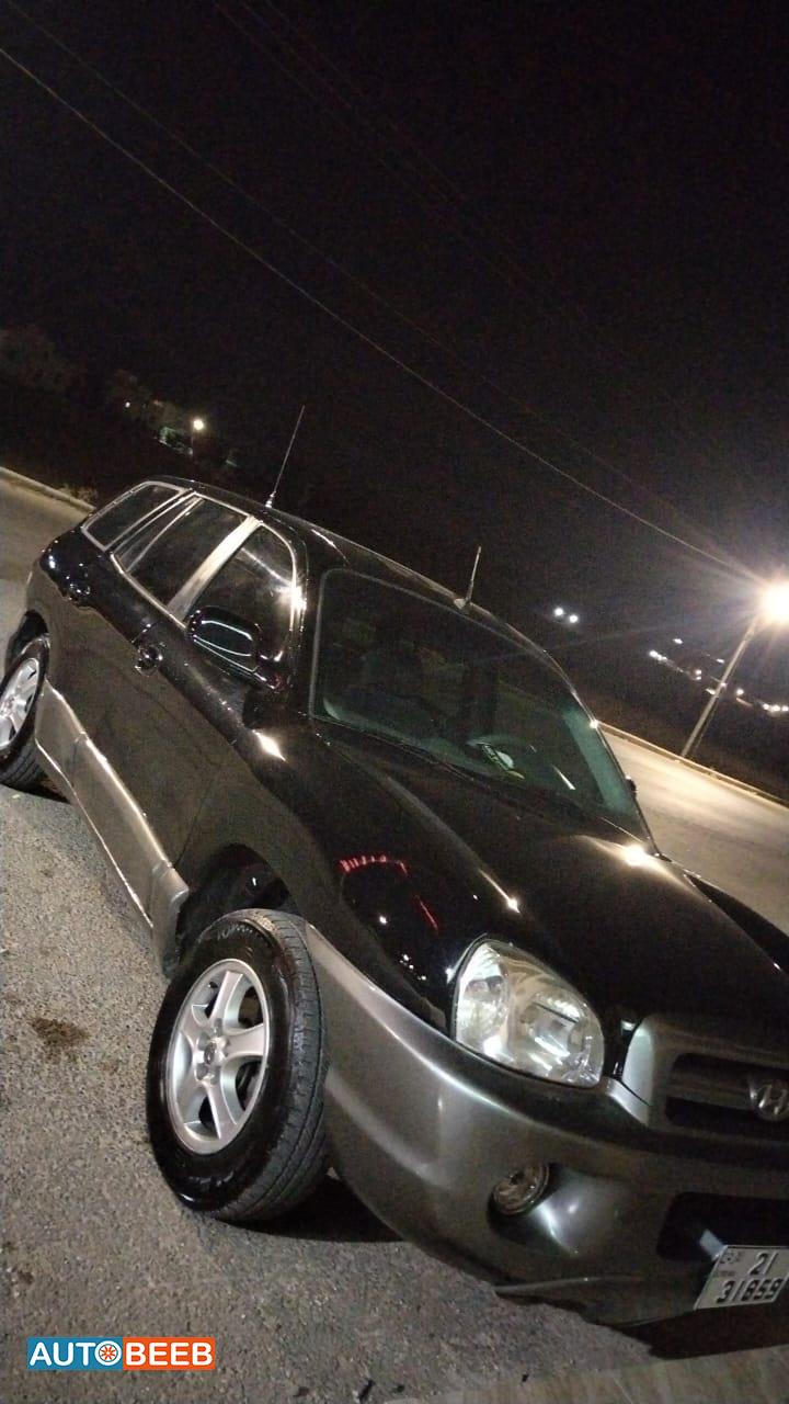 Hyundai Santa Fe 2003