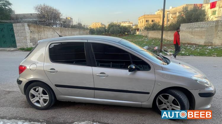 Peugeot 307 2007