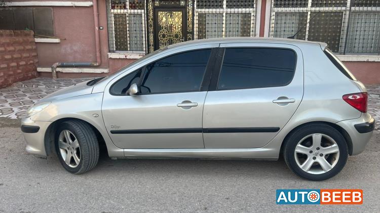 Peugeot 307 2007