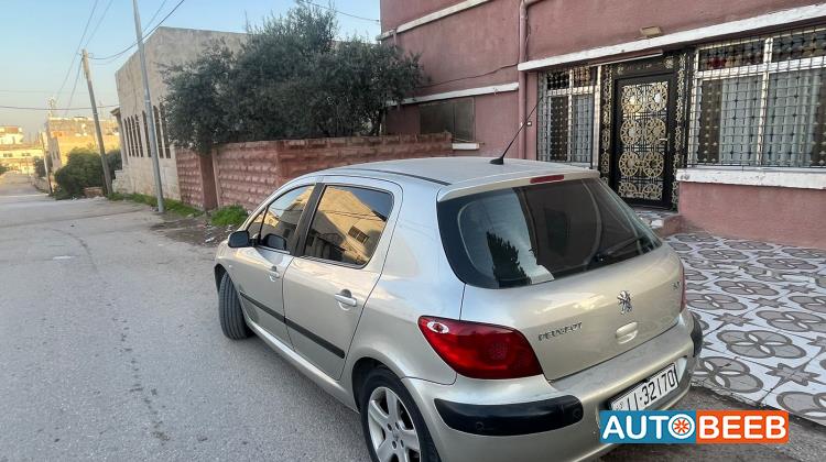 Peugeot 307 2007