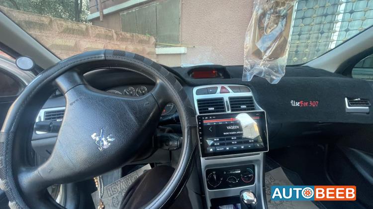 Peugeot 307 2007