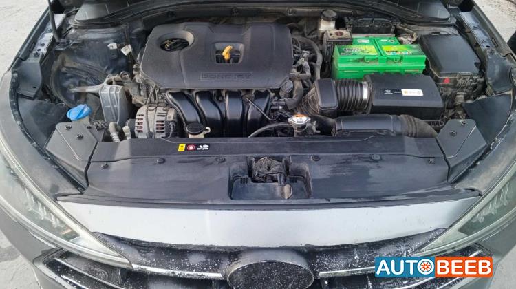 هيونداي النترا 2019