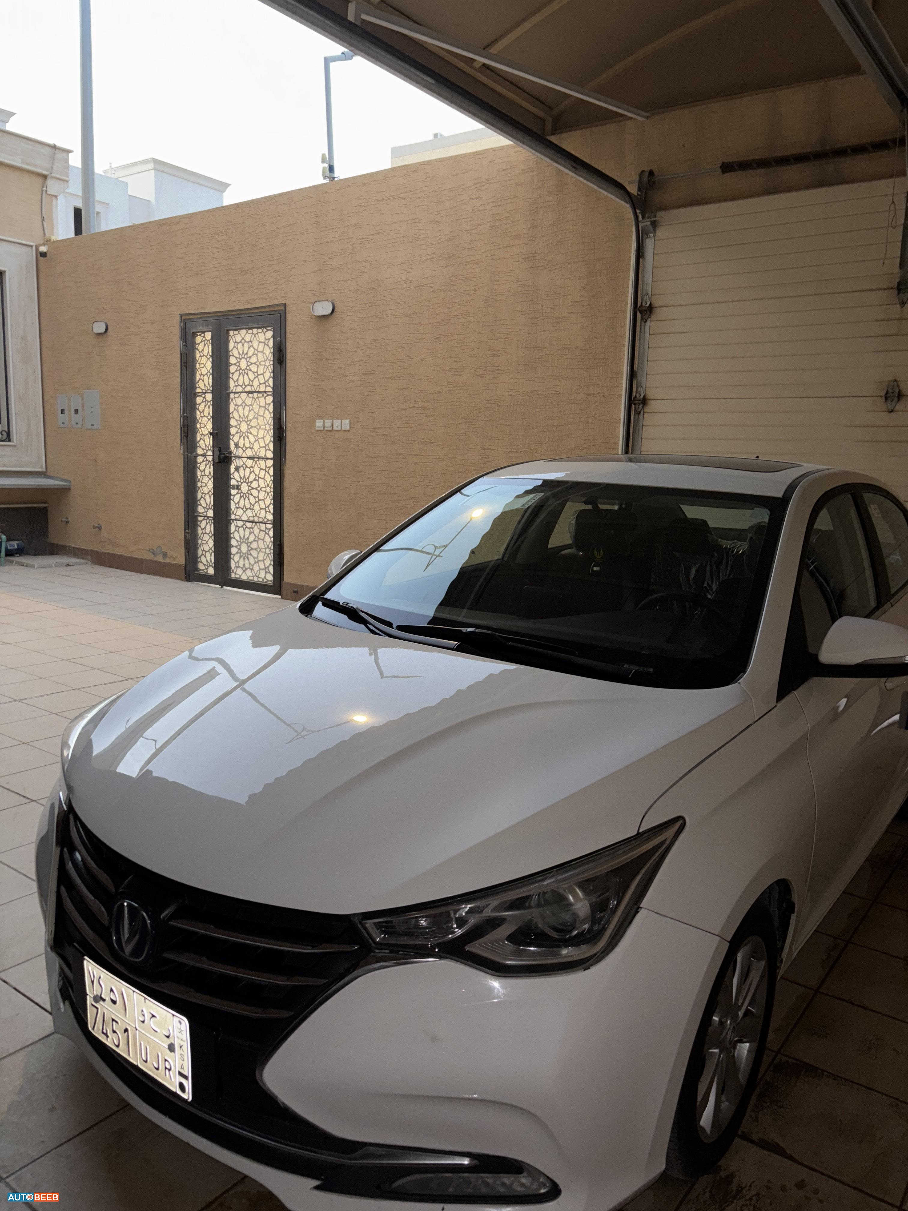 شانجان السفن 2023