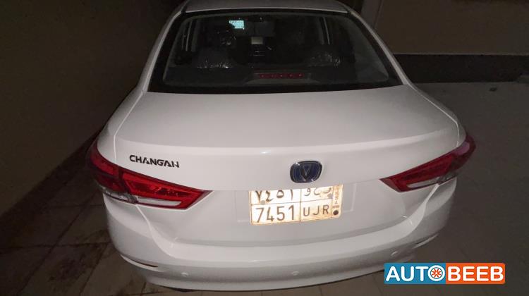 شانجان السفن 2023