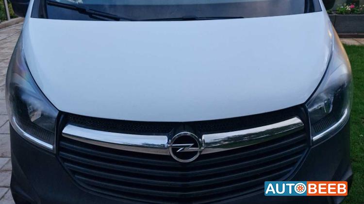 ميني فان اوبل 2019